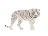 Белый тигр. Вид 1
