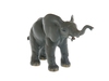 Детеныш африканского слона. Вид 1