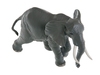 Африканский слон. Вид 3