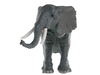 Африканский слон. Вид 5